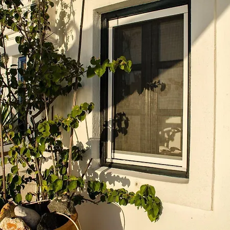 Tatil Evi Stilvi *
